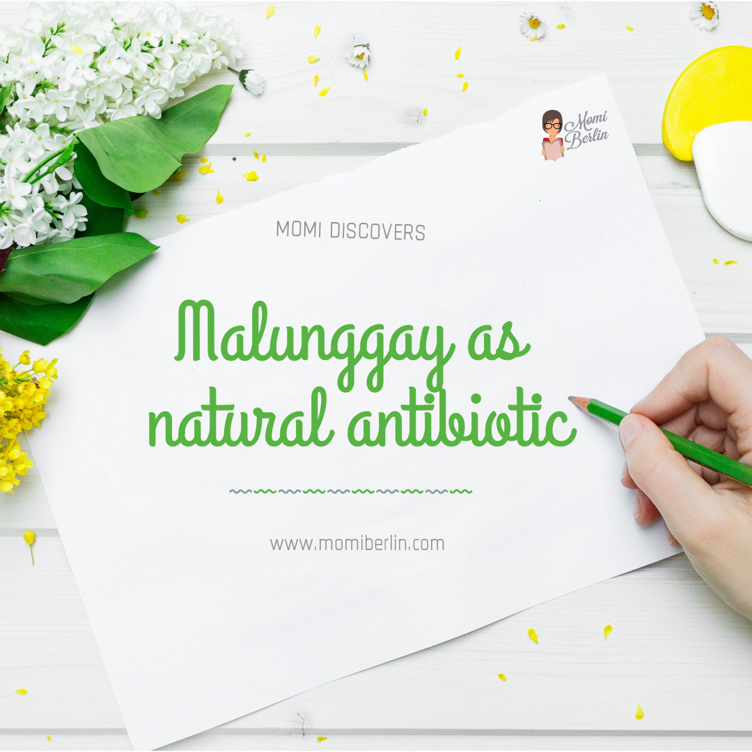 MOMI DISCOVERS| Malunggay as natural antibiotic MOMI DISCOVERS| Malunggay as natural antibiotic