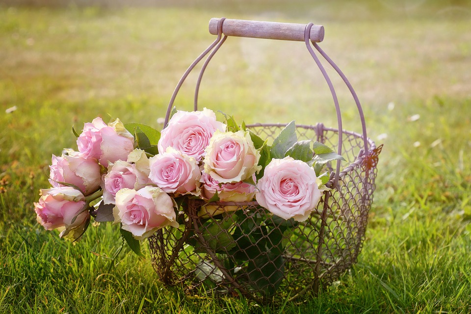 Lovely Gift Ideas for Your Mom Lovely Gift Ideas for Your Mom