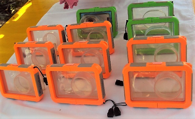 Underwater camera cases are for rent (P250).  I opted to rent an underwater camera instead (P600.00).
