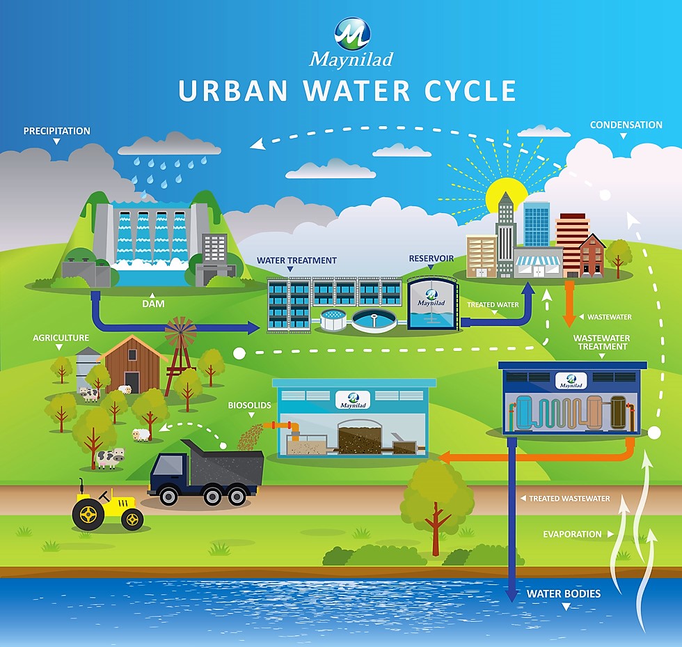 Adverse effect of untreated wastewater