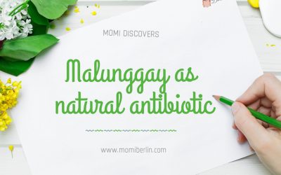 MOMI DISCOVERS| Malunggay as natural antibiotic