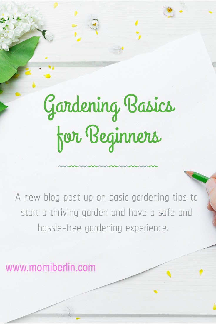 MOMI TIPS| Gardening Basics For Beginners