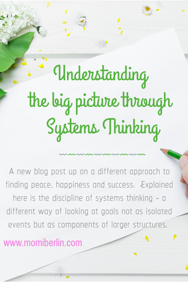 MOMI LEARNS| Understanding the big picture through Systems Thinking