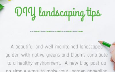 MOMI SHARES| DIY Landscaping tips