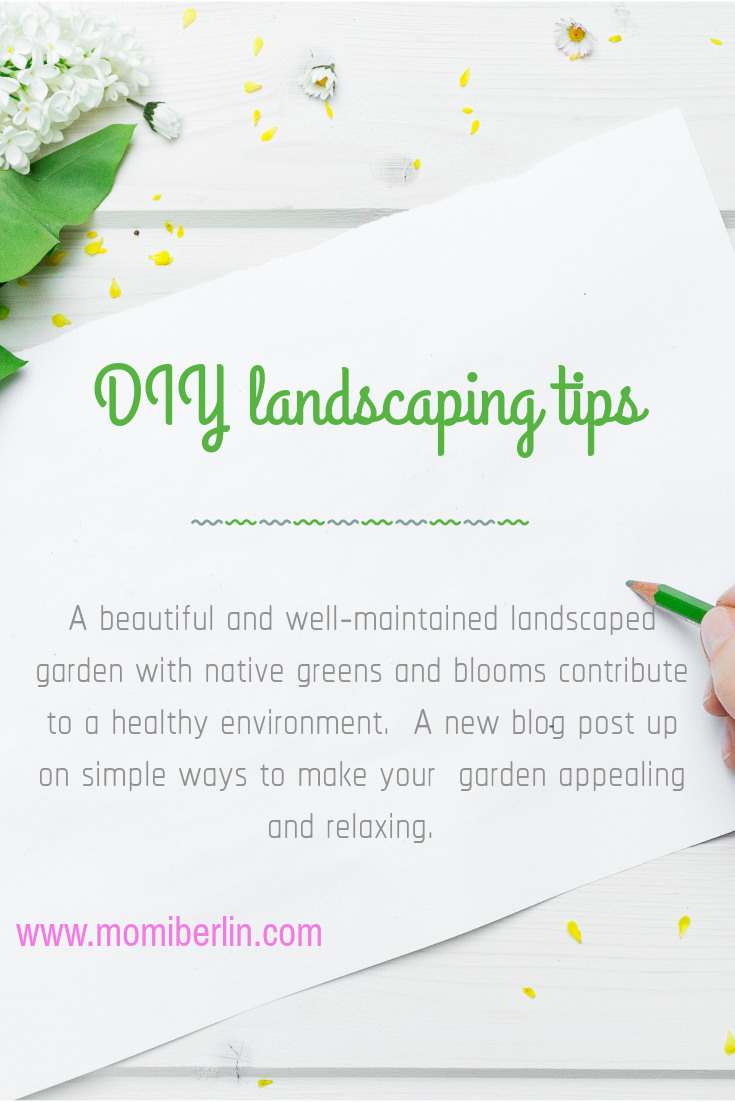 MOMI SHARES| DIY Landscaping tips