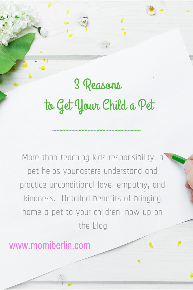 Reasons to Get Your Child a Pet
