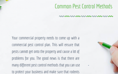 Common Pest Control Methods