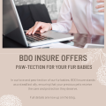 BDO Insure offers paw-tection for your fur babies