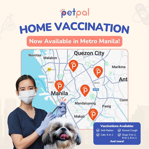 PetPal launches home vaccination service for fur babies