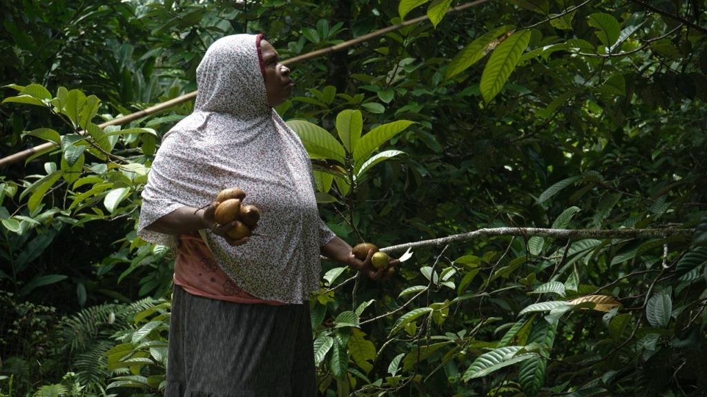 The women of Papua remind us that when communities come together with knowledge, creativity, and purpose, they can build a better future—one nutmeg at a time.